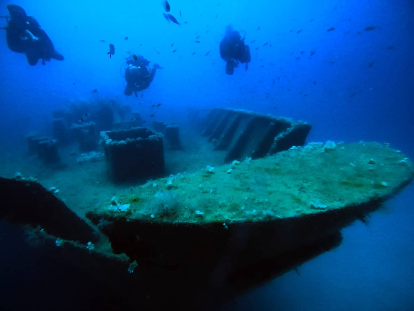 diving the um el faroud