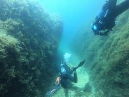 reef zurrieq